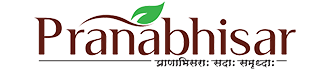 Pranabhisar Gurukul